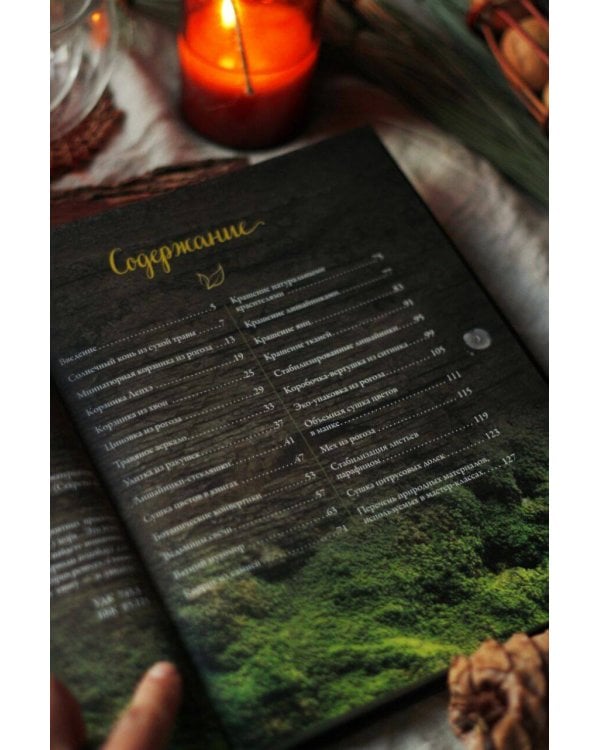 Живые вещи. Книга о создании простых красивых вещей из природных материалов