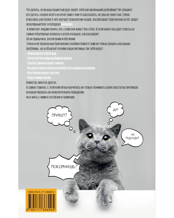 На одном языке с кошкой