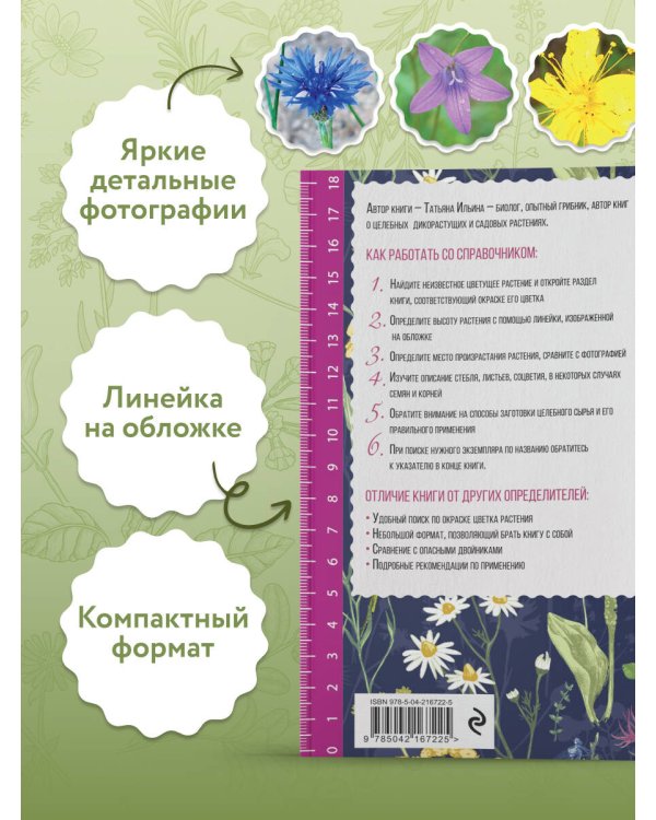 Лечебные травы. Иллюстрированный справочник-определитель