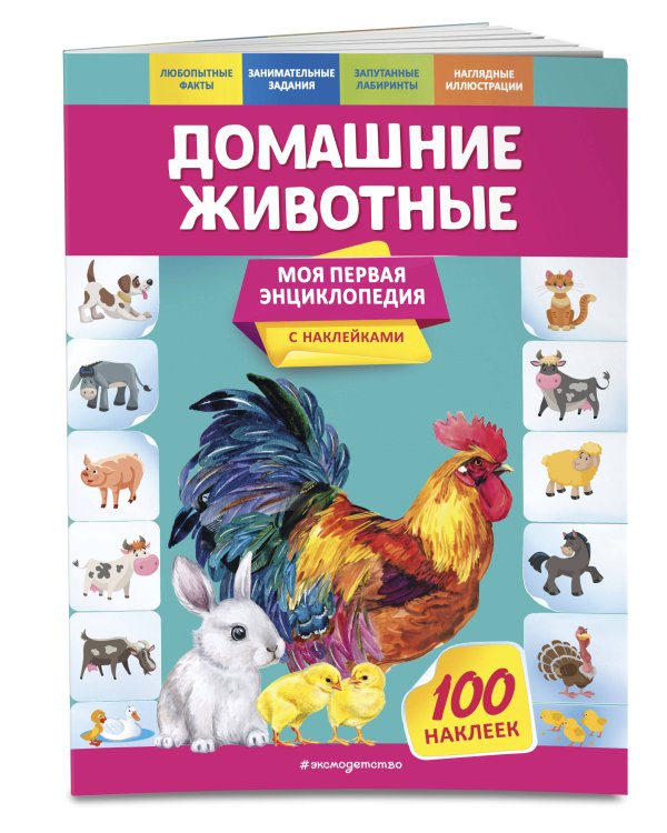 Первые энциклопедии (ИК)