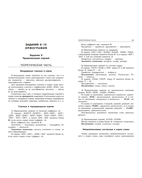 ЕГЭ-2024. Русский язык