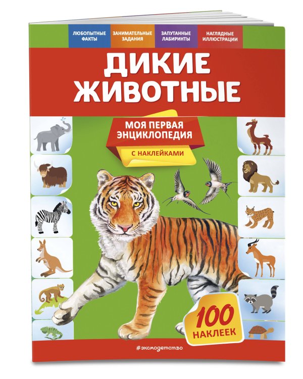 Первые энциклопедии (ИК)