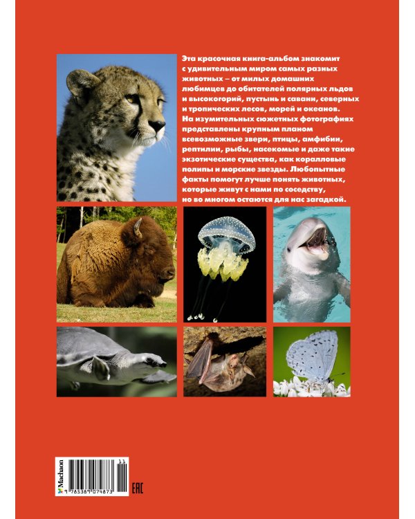 Моя большая книга о животных