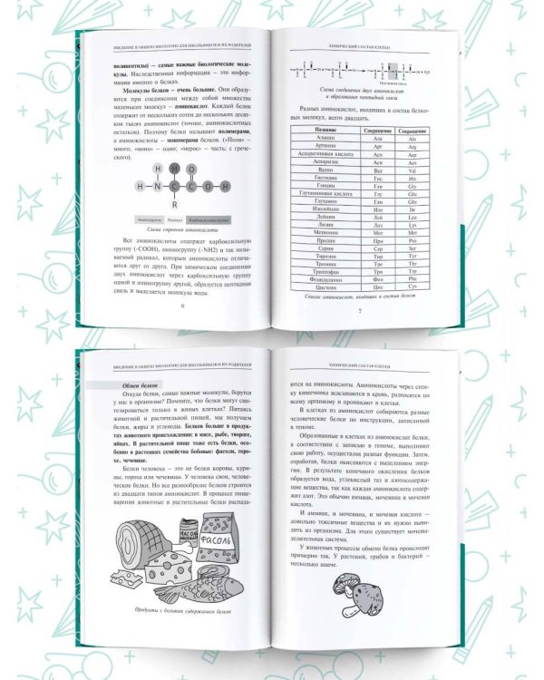 Биология. Состав и строение клетки. Разбираем сложные вопросы с учениками 9-11 классов