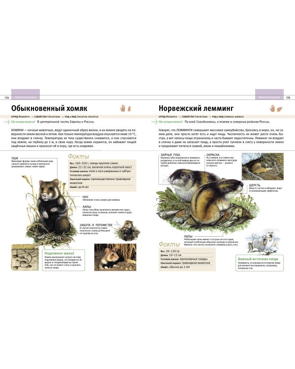 Животные. Все обитатели нашей планеты