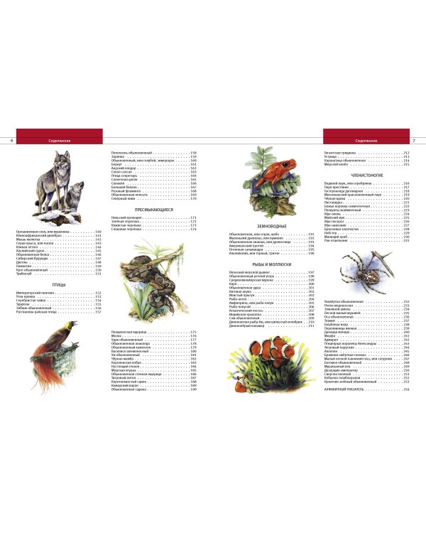 Животные. Все обитатели нашей планеты
