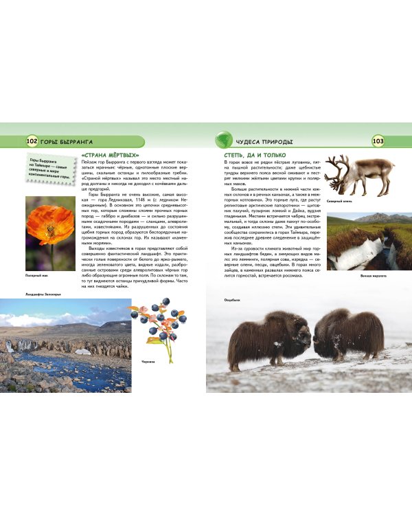 Чудеса света