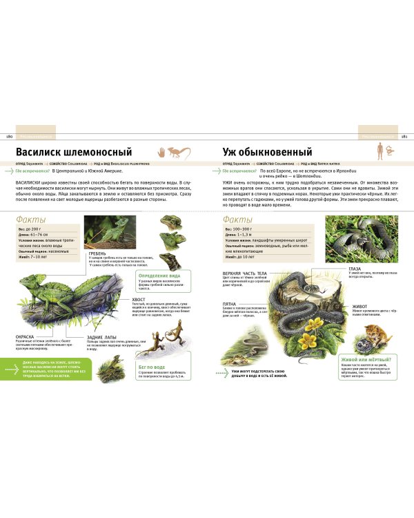 Животные. Все обитатели нашей планеты