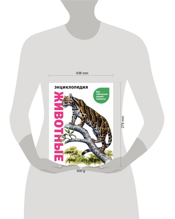 Животные. Все обитатели нашей планеты