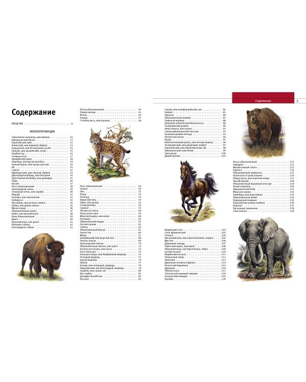 Животные. Все обитатели нашей планеты