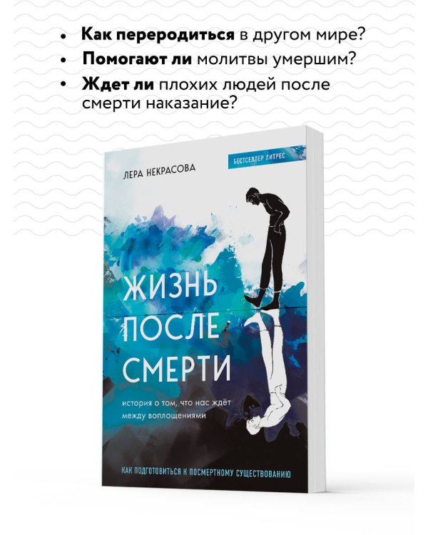 Жизнь после смерти. История о том, что нас ждёт между воплощениями