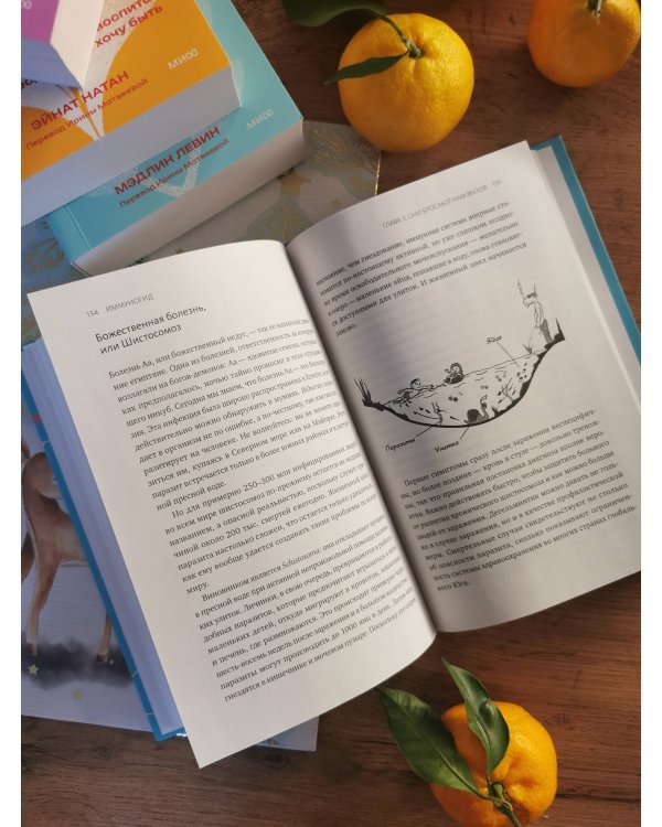 Иммуногид. Все, что вас волнует в иммунной системе от профессора-вирусолога