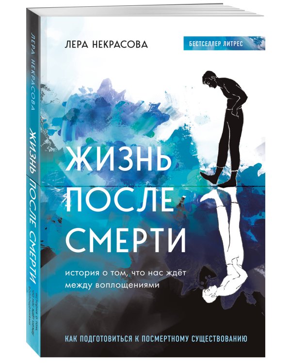 Жизнь после смерти. История о том, что нас ждёт между воплощениями