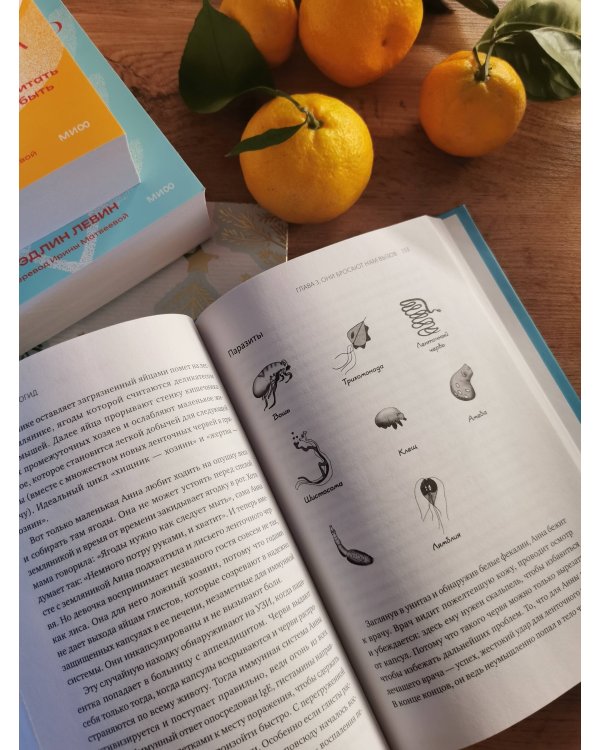 Иммуногид. Все, что вас волнует в иммунной системе от профессора-вирусолога