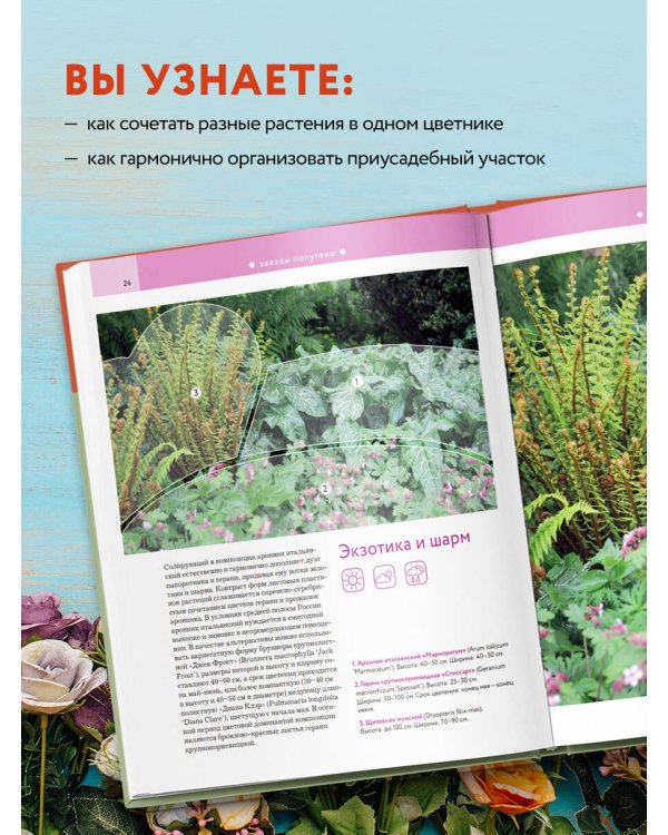 Цветники: 85 лучших композиций (новое оформление)