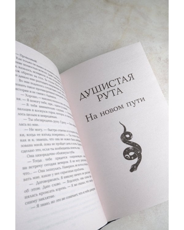 Сердце ведьмы