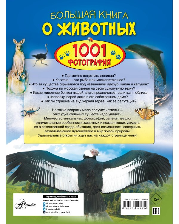 Большая книга о животных. 1001 фотография