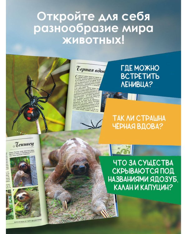 Большая книга о животных. 1001 фотография