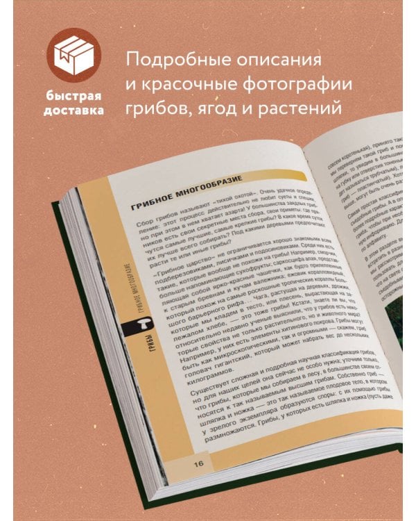 Лесной гид: грибы, ягоды, травы. Карманный атлас-определитель