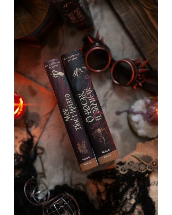 О носах и замка́х