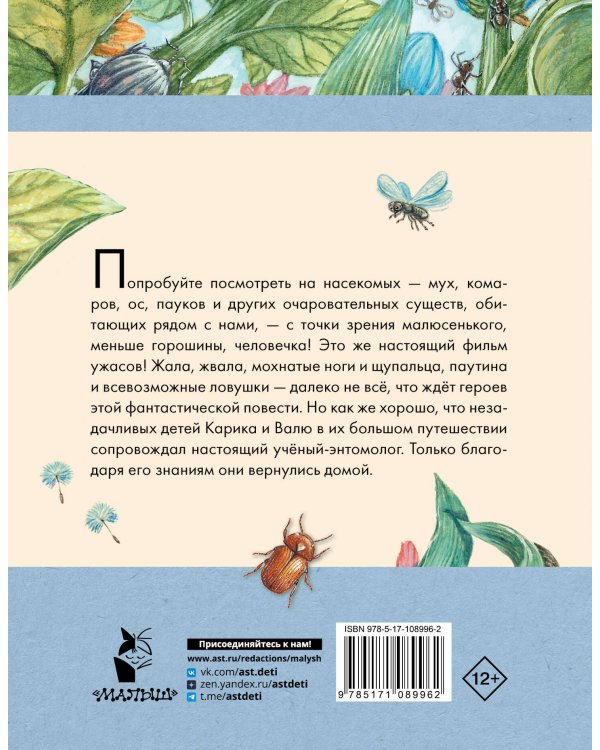 Необыкновенные приключения Карика и Вали