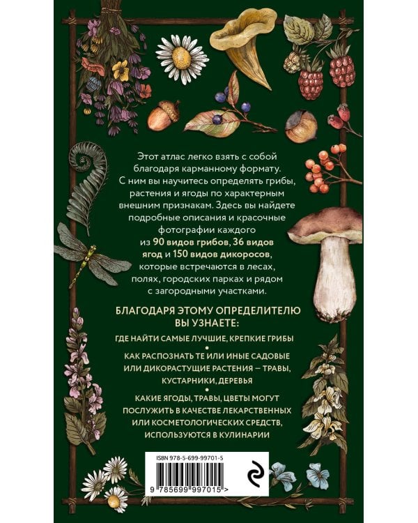 Лесной гид: грибы, ягоды, травы. Карманный атлас-определитель