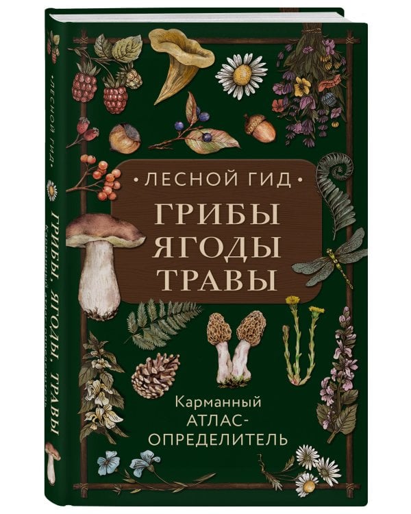 Лесной гид: грибы, ягоды, травы. Карманный атлас-определитель