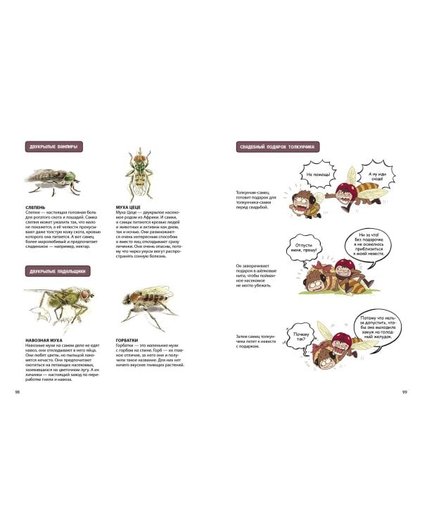 НасеКомиксы. Пчела против журчалки: поединок полосатых!