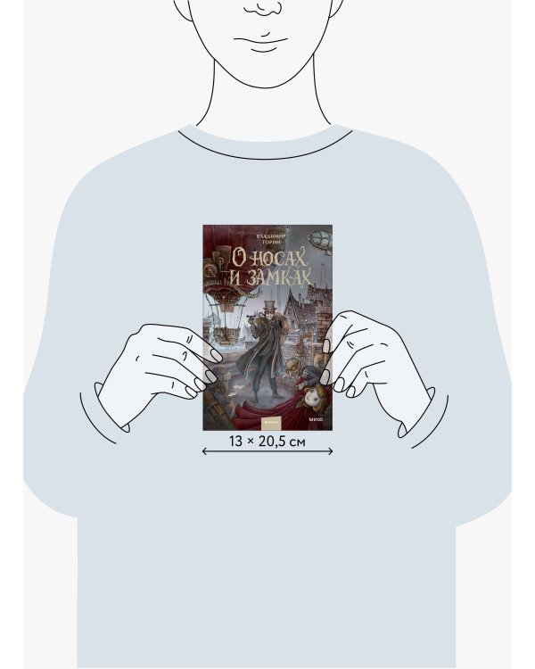 О носах и замка́х