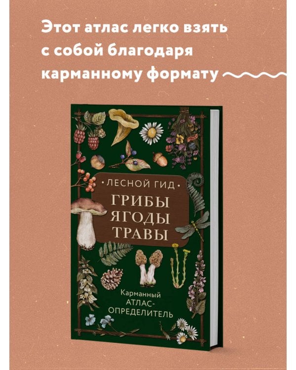 Лесной гид: грибы, ягоды, травы. Карманный атлас-определитель