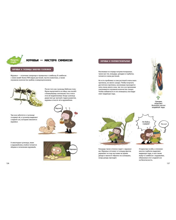 НасеКомиксы. Пчела против журчалки: поединок полосатых!