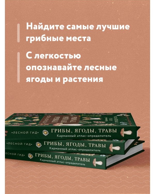 Лесной гид: грибы, ягоды, травы. Карманный атлас-определитель