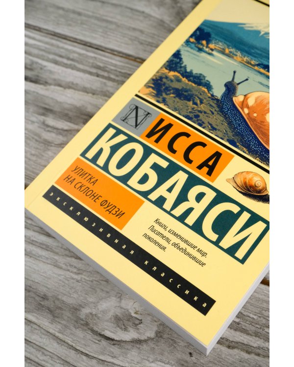 Улитка на склоне Фудзи