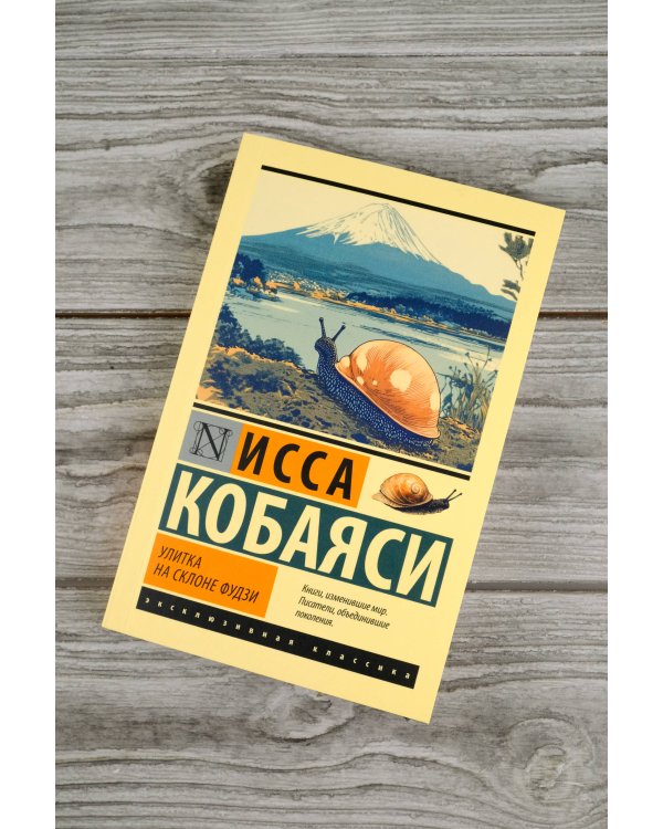 Улитка на склоне Фудзи