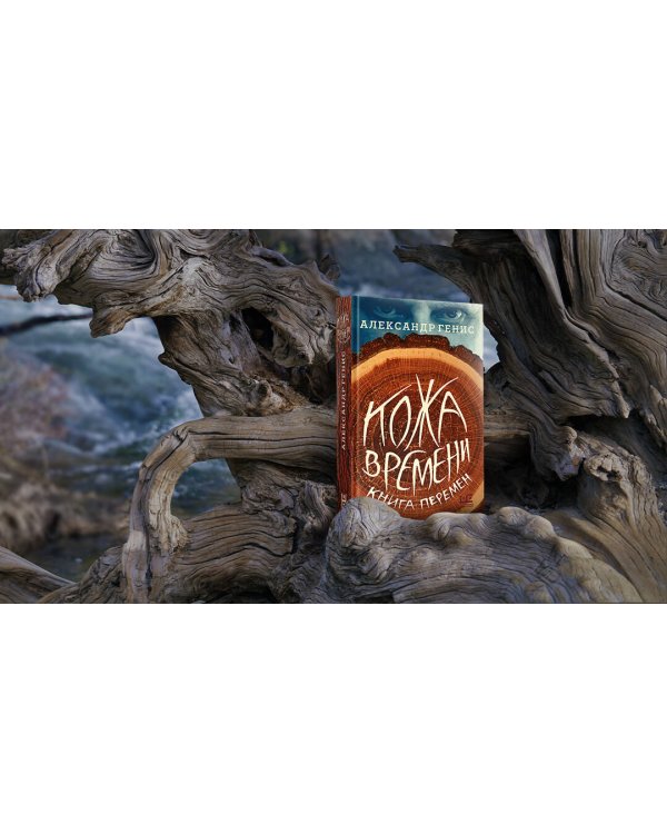 Кожа времени. Книга перемен