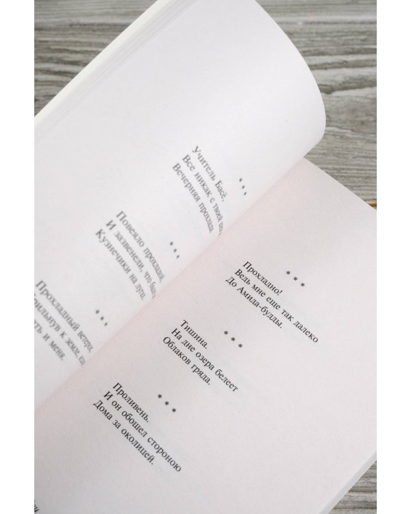 Улитка на склоне Фудзи