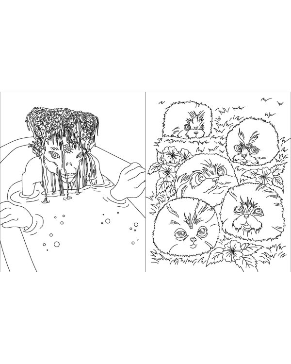 Волшебные существа мира Гарри Поттера. Раскраска