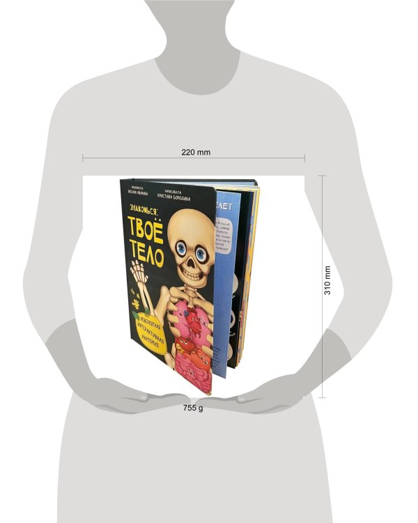 Знакомься: твое тело