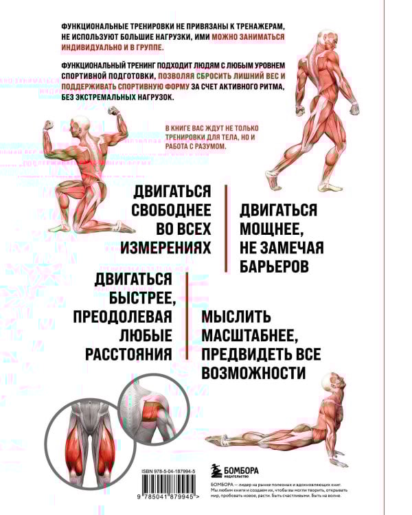 Анатомия функциональных тренировок. Руководство о том, как грамотно прокачать тело