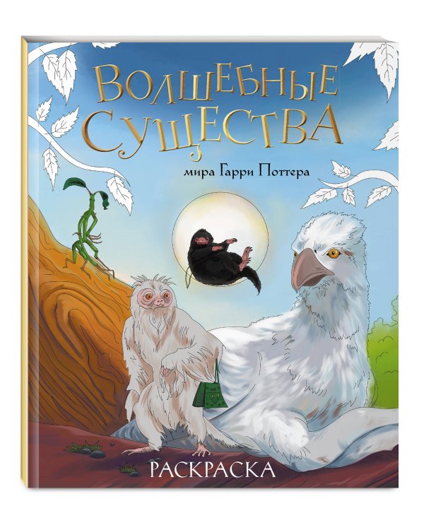Волшебные существа мира Гарри Поттера. Раскраска