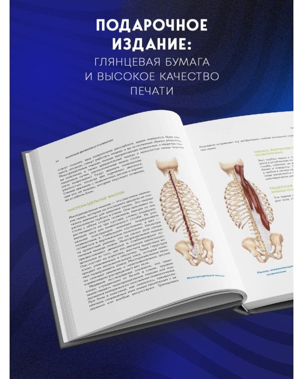 Фундамент безупречного тела. Элитная программа тренировок для формирования каркаса спины