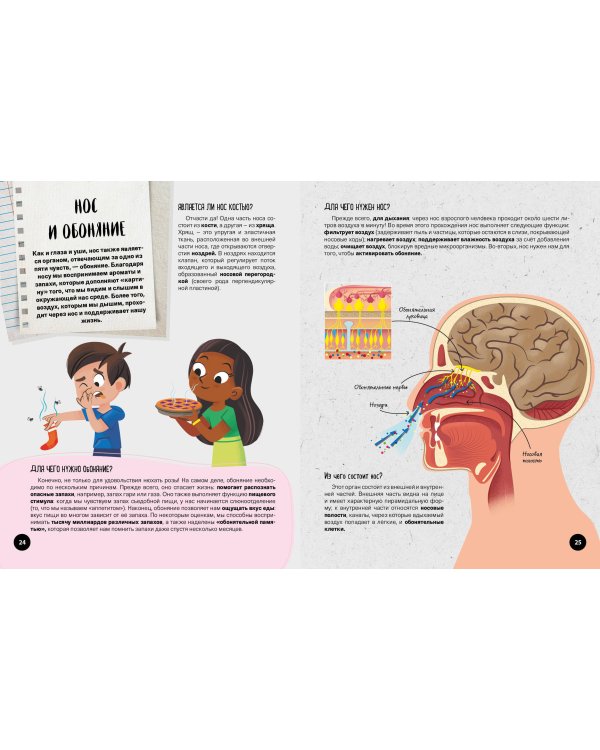 Что? Как? Почему? Мои первые знания про ТЕЛО ЧЕЛОВЕКА (с постером)