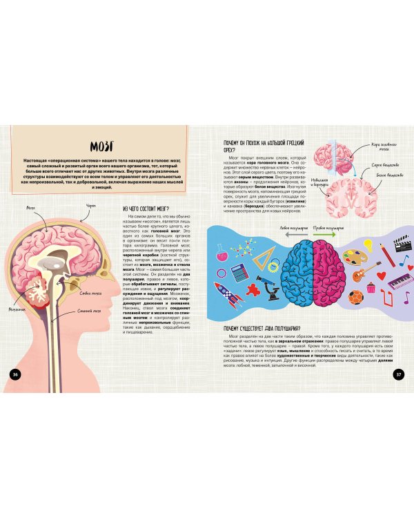 Что? Как? Почему? Мои первые знания про ТЕЛО ЧЕЛОВЕКА (с постером)