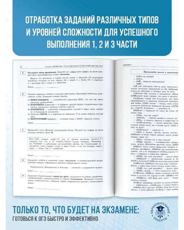 ОГЭ-2025. Русский язык.10 тренировочных вариантов экзаменационных работ для подготовки к ОГЭ