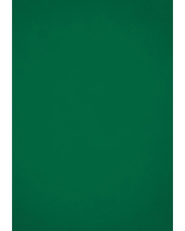 Коран. Прочтение смыслов