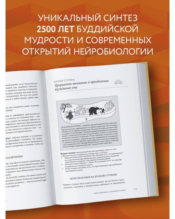 Свет ума. Подробный путеводитель по медитации
