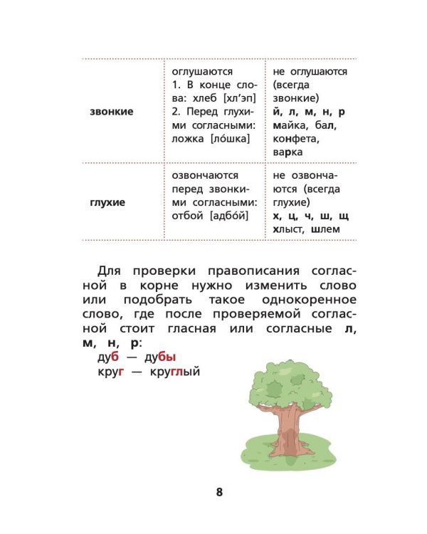 Русский язык. Все правила