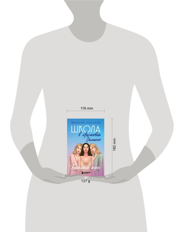 Школа в Ласковой Долине. Большая игра (Книга № 4)