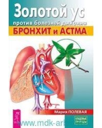 Золотой ус против болезней дыхания. Бронхит и астма