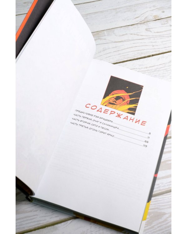 451° по Фаренгейту. Графический роман